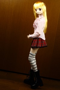 sinsia_0003