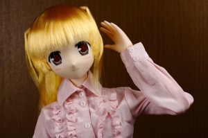 sinsia_0005
